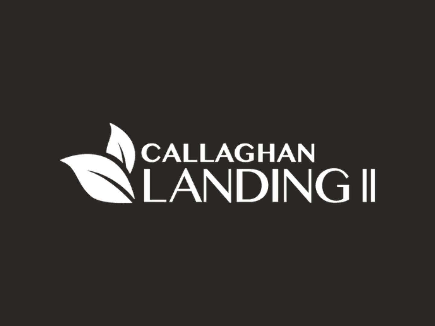 Callaghan Landing II